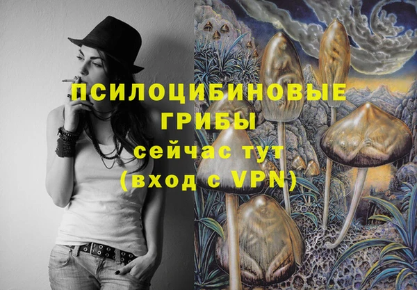 метадон Беломорск