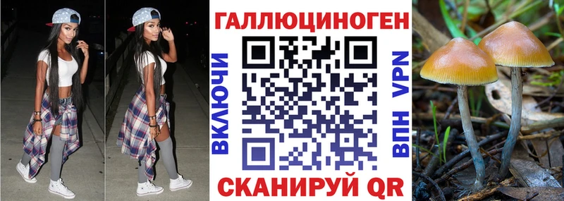 Галлюциногенные грибы мухоморы  Купить  Егорьевск 